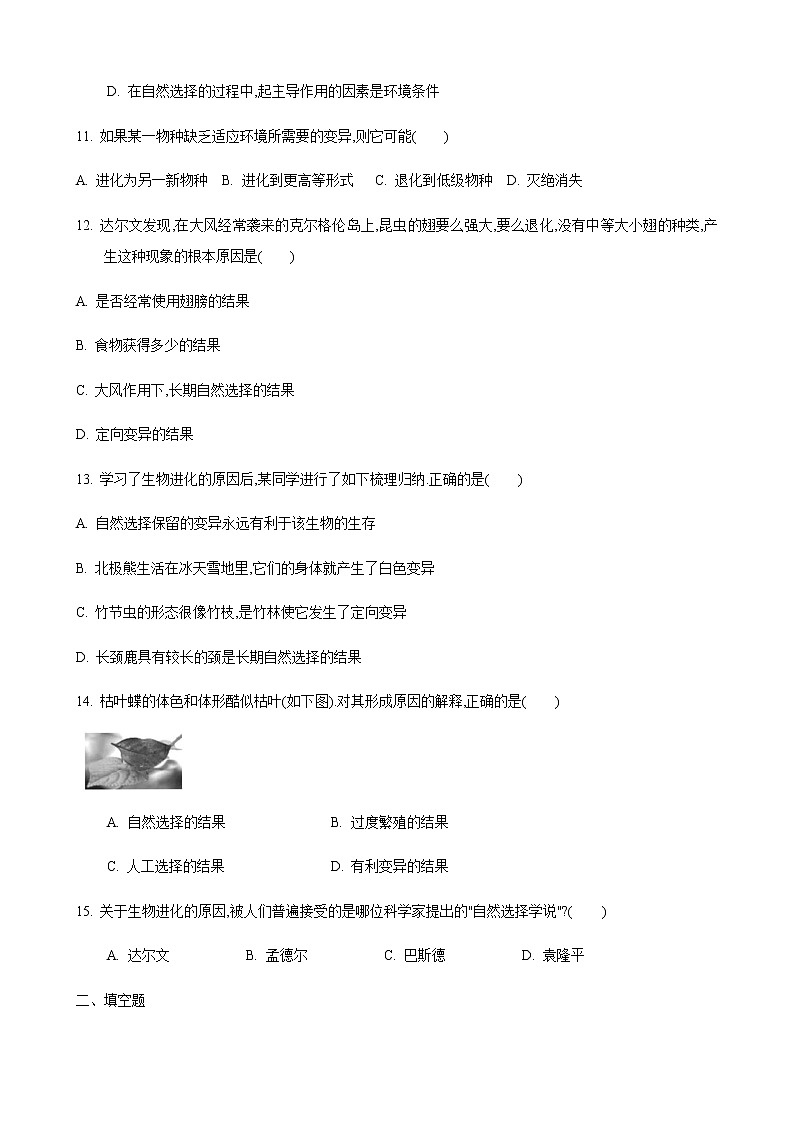 23.3 生物进化的原因（练习）（原卷版）03