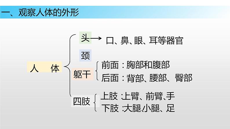 9.2 人体的组成（课件）七年级下册生物06