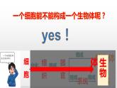 9.3 单细胞的生物体（课件）-2019-2020学年七年级下册生物同步精品课堂（苏科版）(共29张PPT)