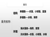 11.1 地面上的植物（第1课时）（课件）七年级下册生物