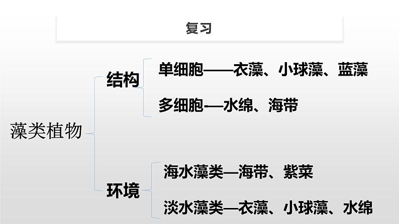 11.1 地面上的植物（第1课时）（课件）七年级下册生物02