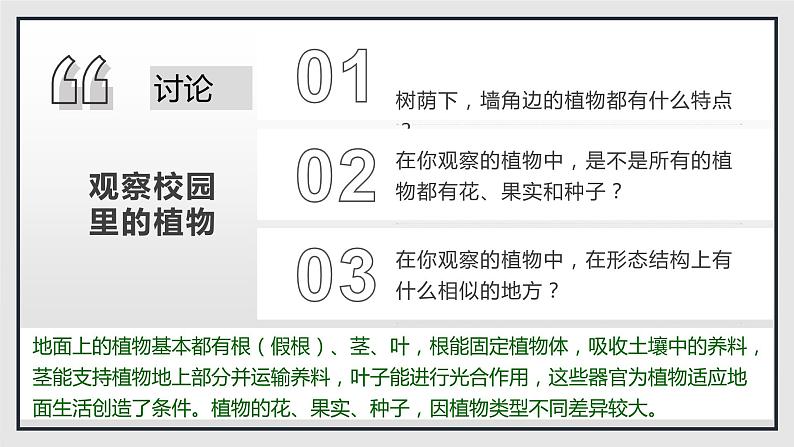 11.1 地面上的植物（第1课时）（课件）七年级下册生物06