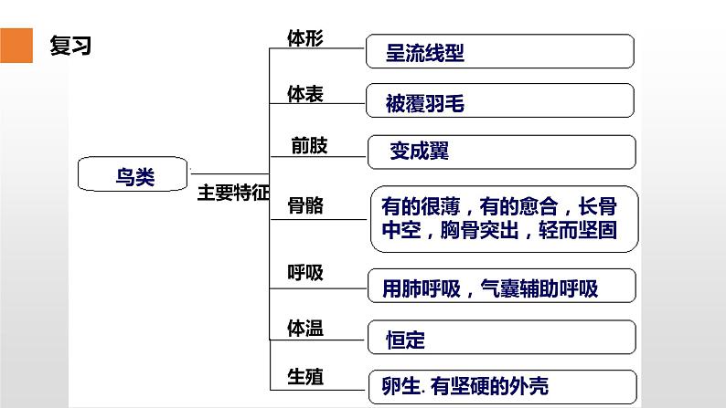 12.2 昆虫（课件）七年级下册生物02