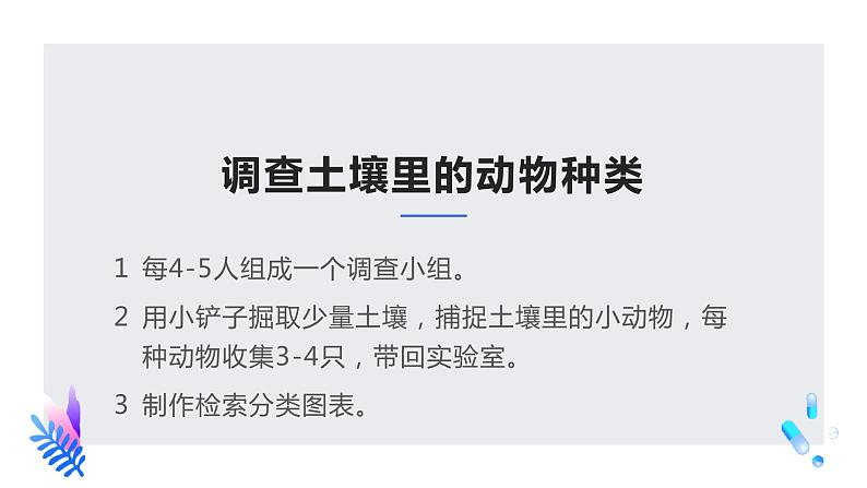 13.1 土壤里的小动物（课件）七年级下册生物05