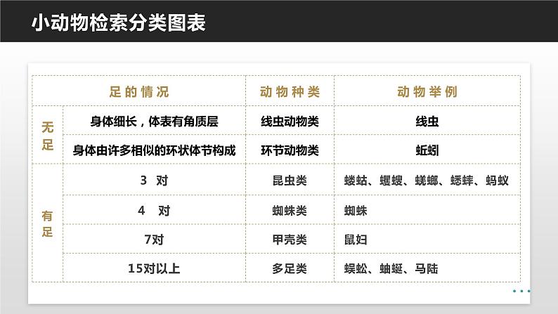 13.1 土壤里的小动物（课件）七年级下册生物06