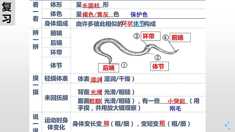 13.2 土壤里的微生物（课件）七年级下册生物02