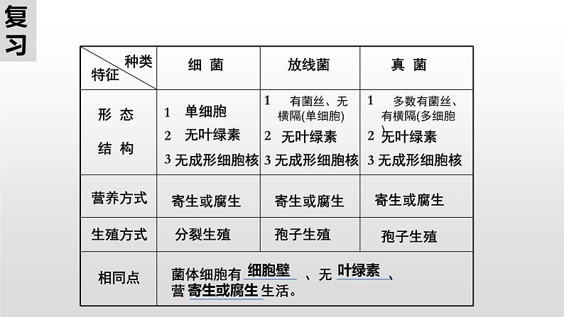 14.1 生物的命名和分类（课件）七年级下册生物02