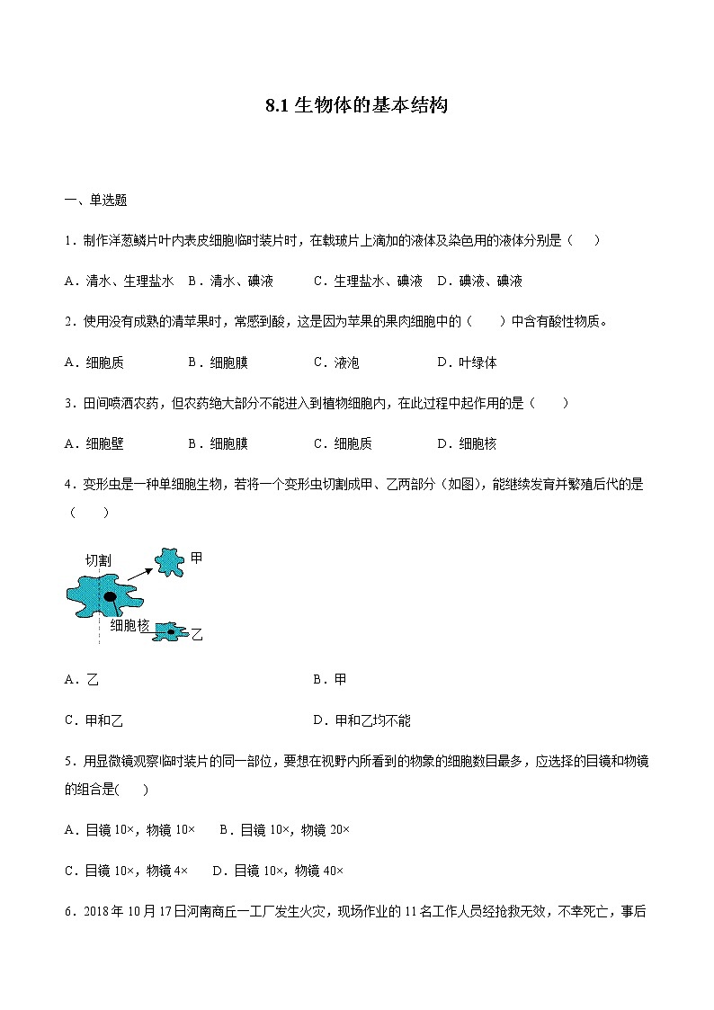 8.1 生物体的基本结构（练习）（原卷版）01