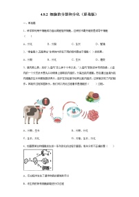 初中生物苏科版七年级下册第4单元 环境中生物的统一性第8章 生物体有相同的基本结构第2节 细胞的分裂和分化优秀课后作业题