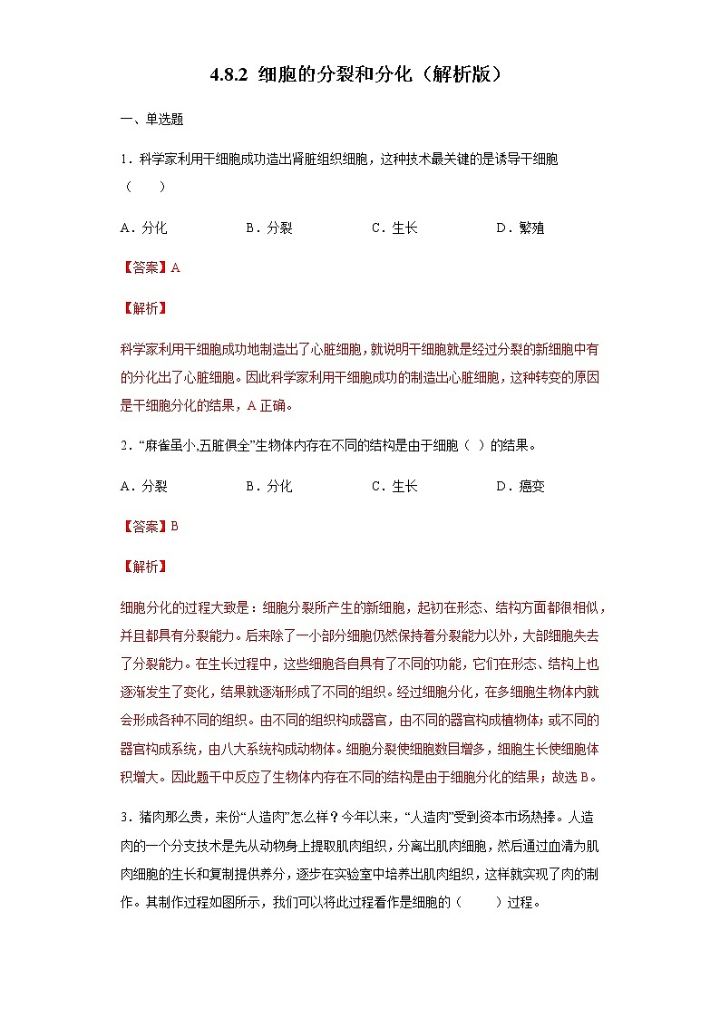 8.2 细胞的分裂和分化（练习）（解析版）01