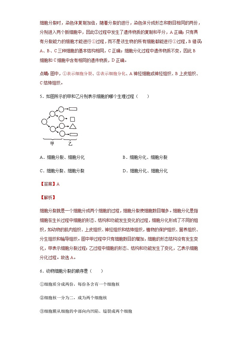 8.2 细胞的分裂和分化（练习）（解析版）03