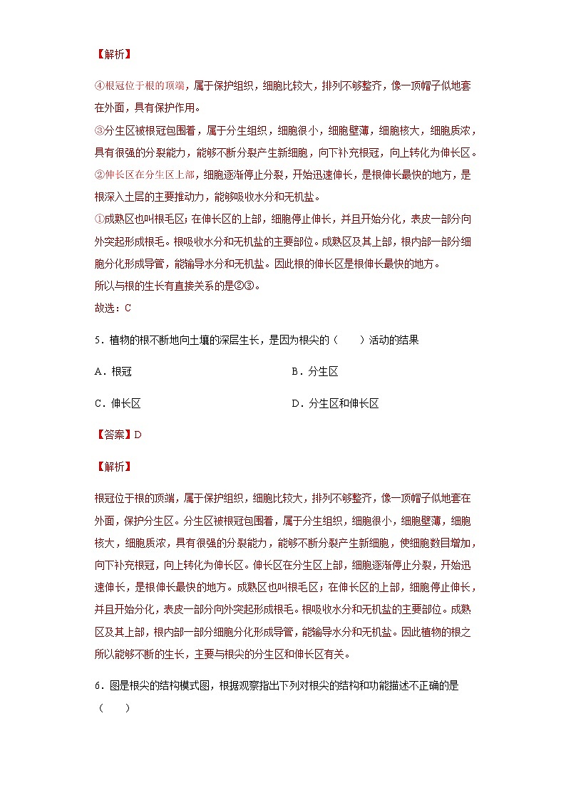 9.1 植物体的组成（练习）（解析版）03