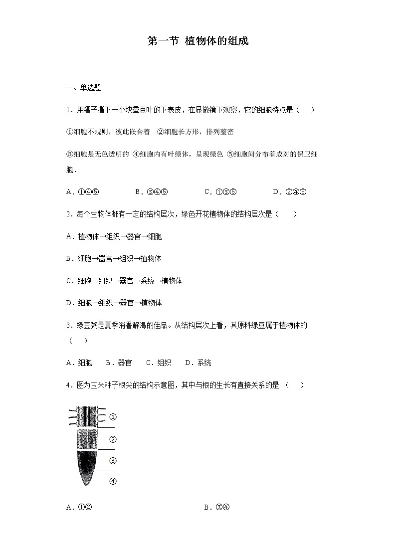 9.1 植物体的组成（练习）（原卷版）01
