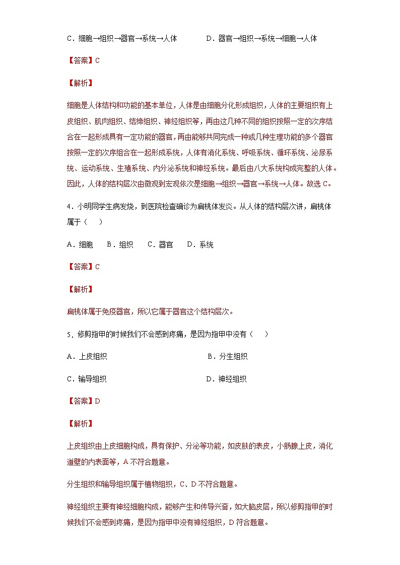 9.2 人体的组成（练习）（解析版）02