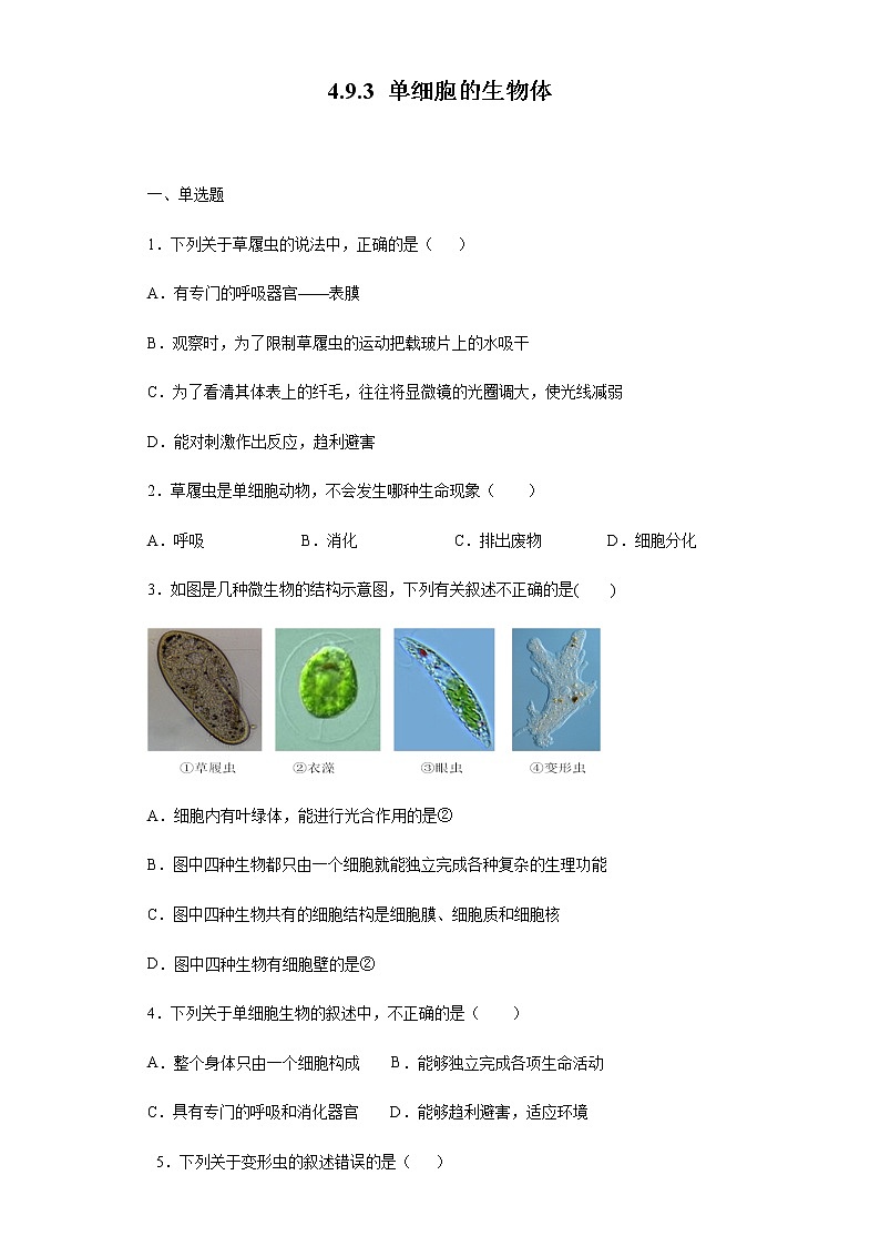 9.3 单细胞的生物体（练习）（原卷版）01