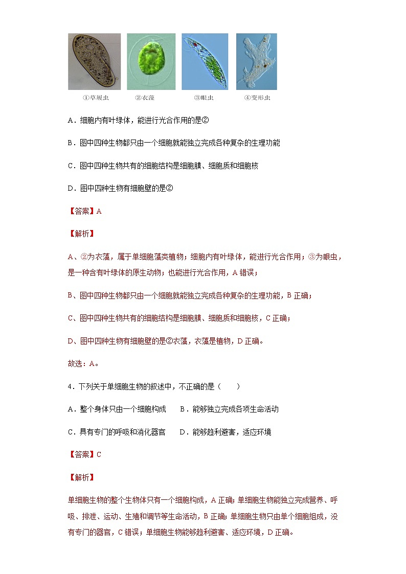 9.3 单细胞的生物体（练习）（解析版）02