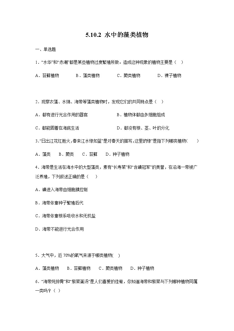 10.2 水中的藻类植物（练习）（原卷版）01