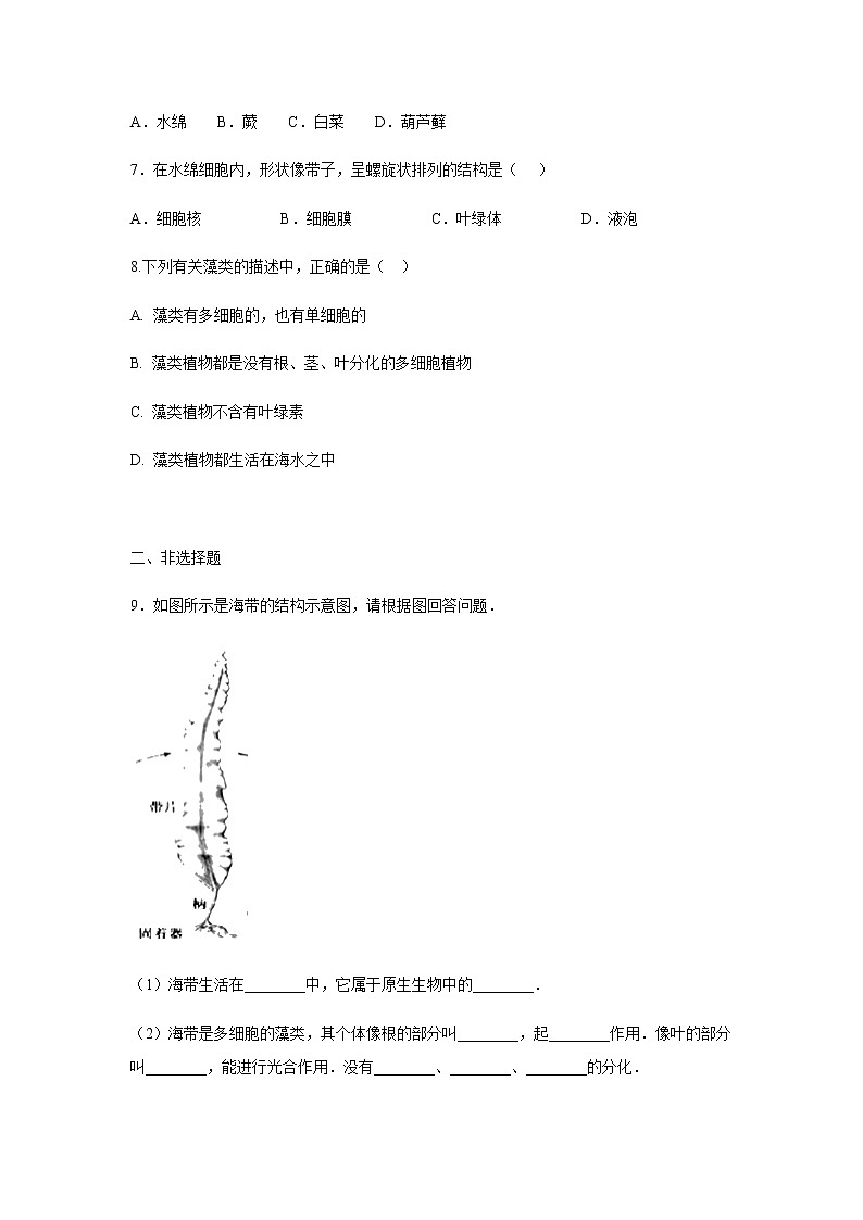 10.2 水中的藻类植物（练习）（原卷版）02