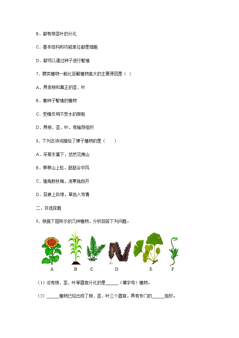 11.1 地面上的植物（练习）（原卷版）02