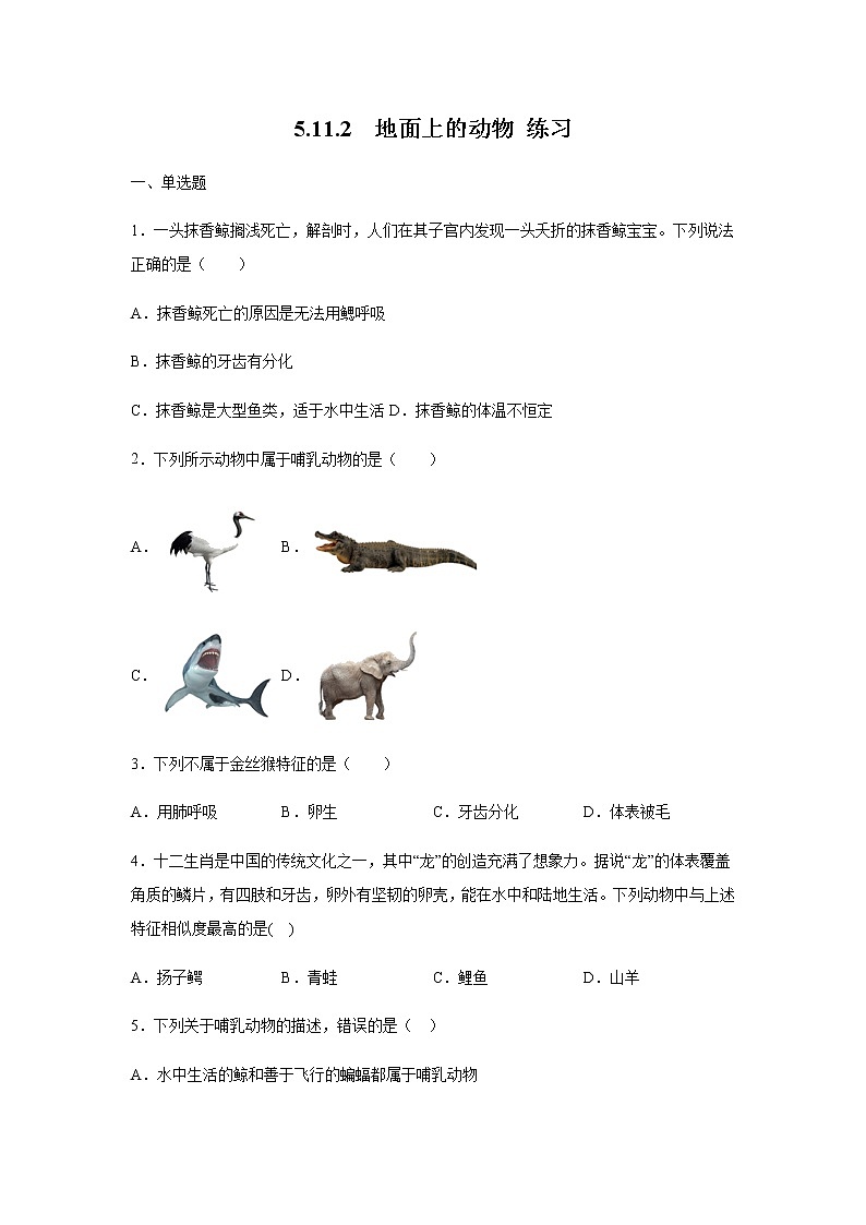 11.2 地面上的动物（练习）（原卷版）01