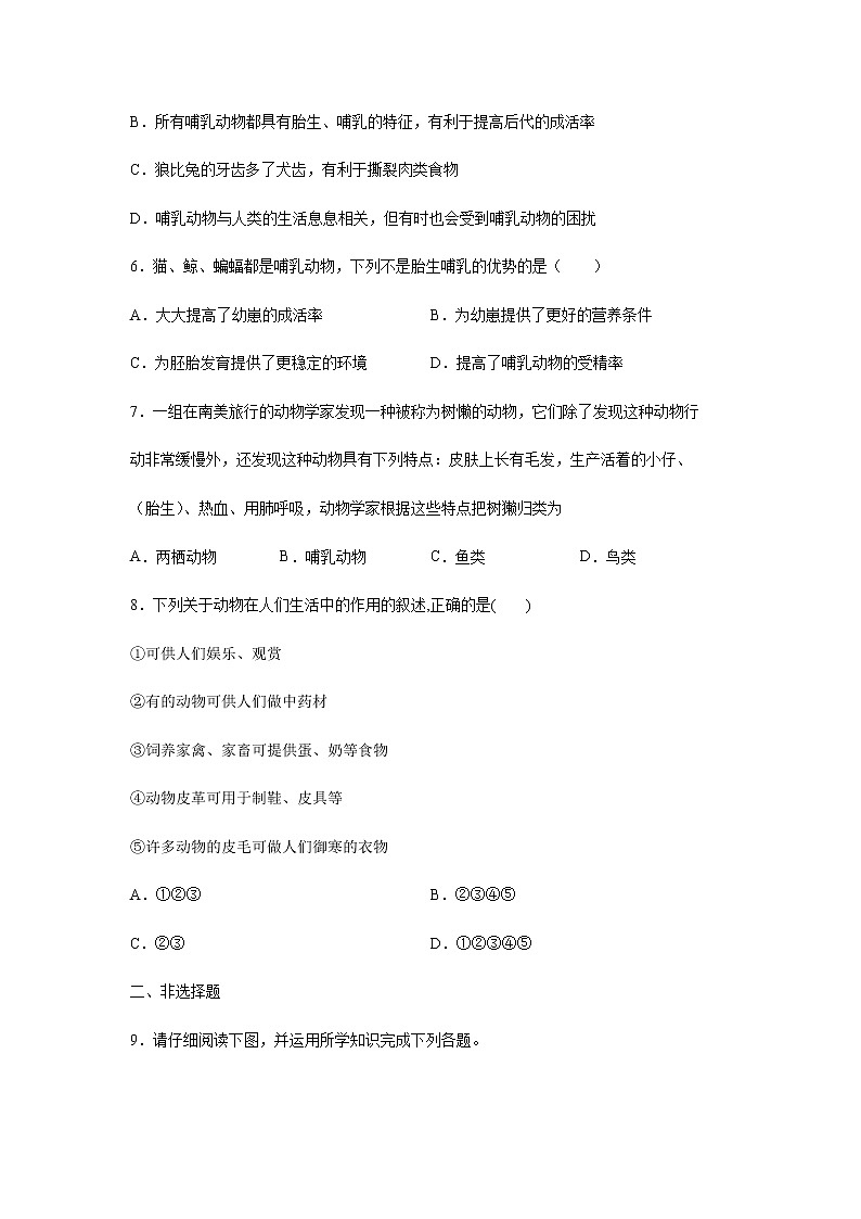 11.2 地面上的动物（练习）（原卷版）02