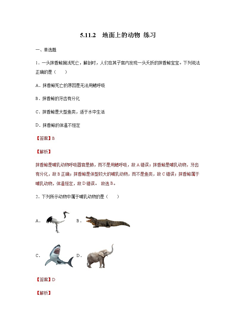 11.2 地面上的动物（练习）（解析版）01