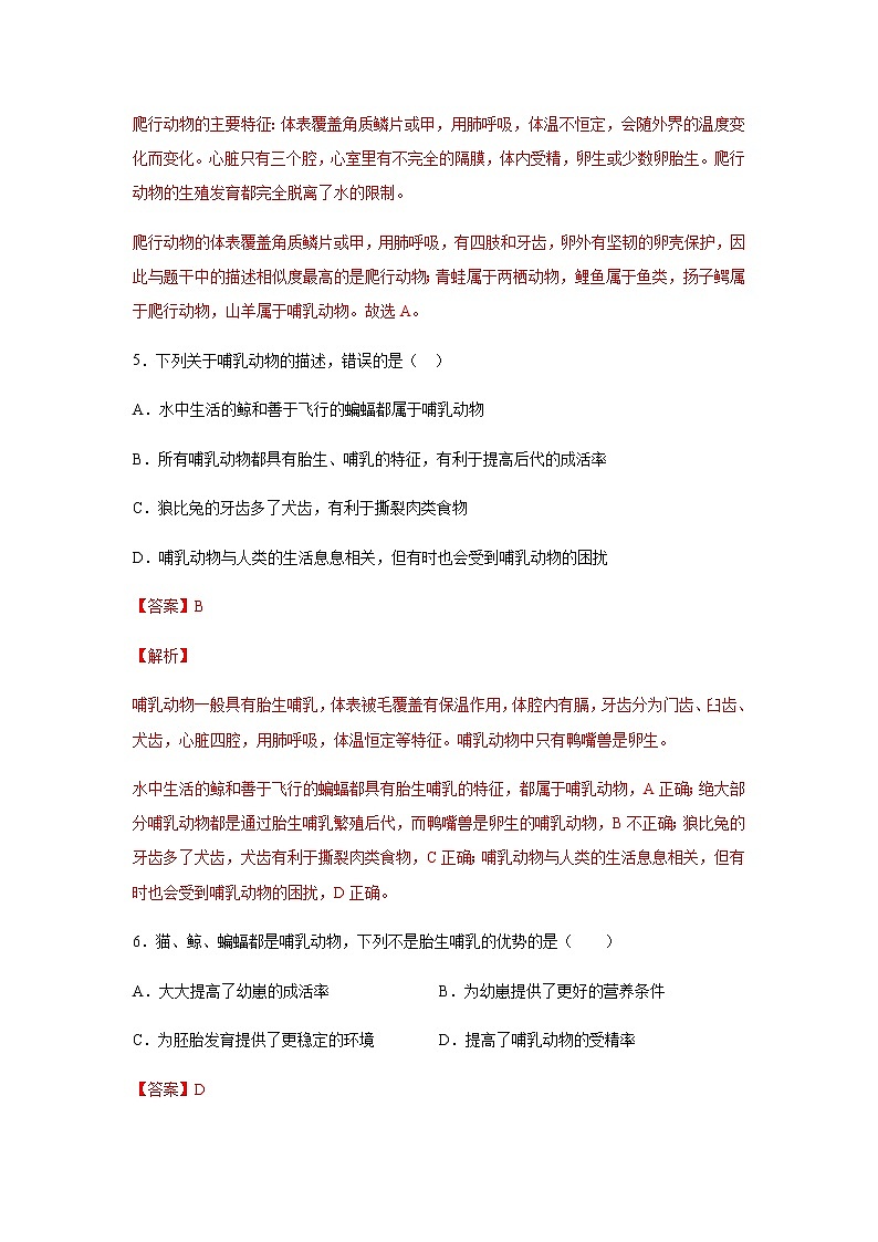 11.2 地面上的动物（练习）（解析版）03