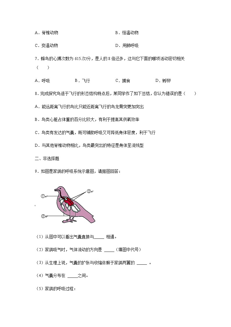 12.1 鸟类（练习）（原卷版）02