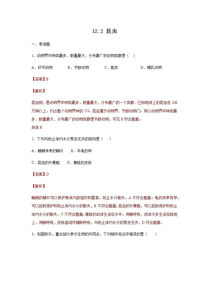 12.2 昆虫（练习）（解析版）01