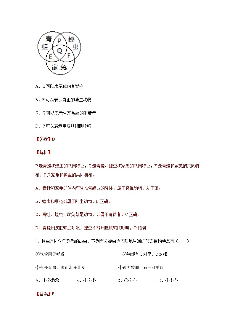 12.2 昆虫（练习）（解析版）02