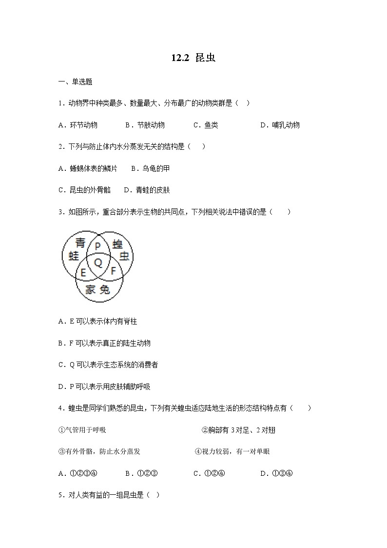 12.2 昆虫（练习）（原卷版）01