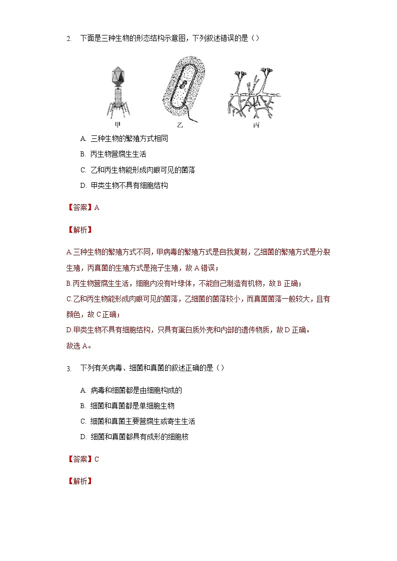 13.2 土壤里的微生物（练习）（解析版）02