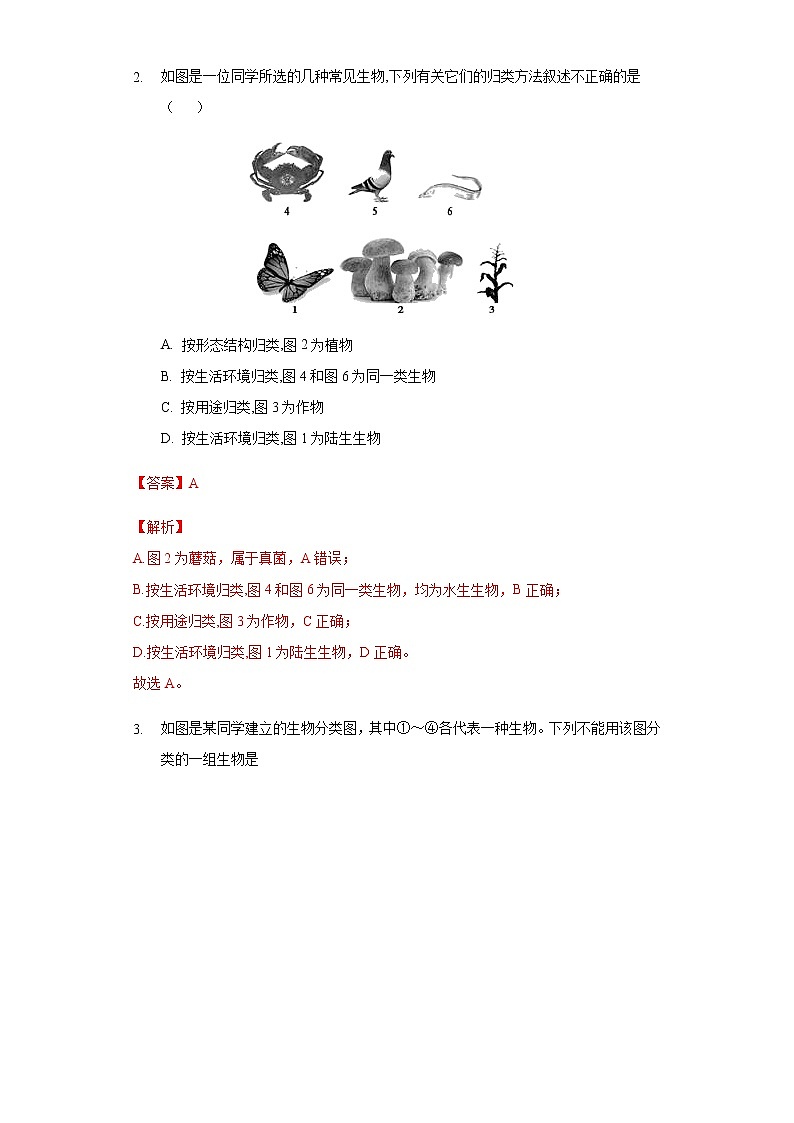 14.2 生物检索表（练习）（解析版）02