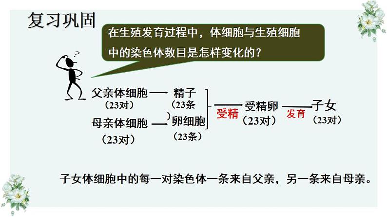 22.1 生物的遗传第3课时（课件）-2020-2021学年八年级下册生物同步精品课堂（苏科版）（共27张PPT）02