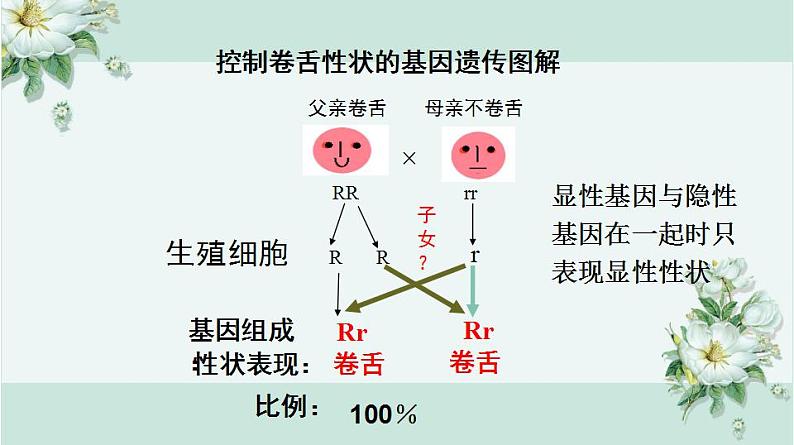 22.1 生物的遗传第3课时（课件）-2020-2021学年八年级下册生物同步精品课堂（苏科版）（共27张PPT）04