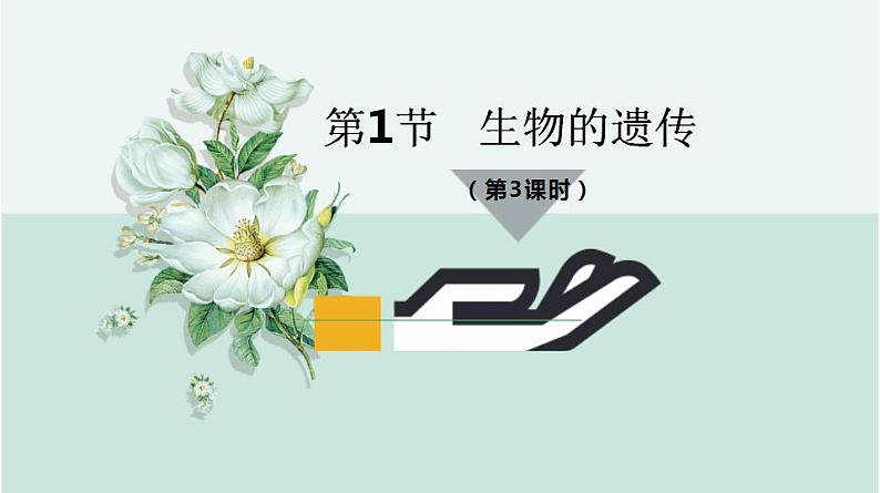 22.1 生物的遗传第3课时（课件）-2020-2021学年八年级下册生物同步精品课堂（苏科版）（共27张PPT）06