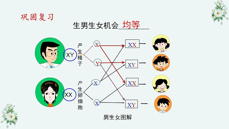 22.1 生物的遗传第4课时（课件）-2020-2021学年八年级下册生物同步精品课堂（苏科版）（共37张PPT）02