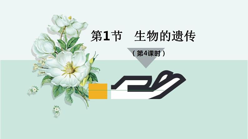 22.1 生物的遗传第4课时（课件）-2020-2021学年八年级下册生物同步精品课堂（苏科版）（共37张PPT）04