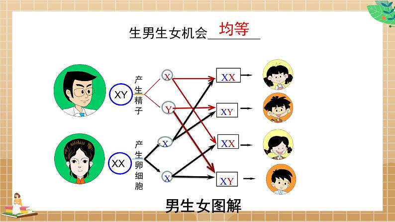 22.2 生物的变异第1课时（课件）-2020-2021学年八年级下册生物同步精品课堂（苏科版）（共39张PPT）04