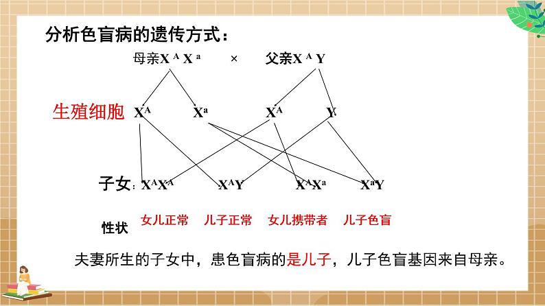 22.2 生物的变异第1课时（课件）-2020-2021学年八年级下册生物同步精品课堂（苏科版）（共39张PPT）05