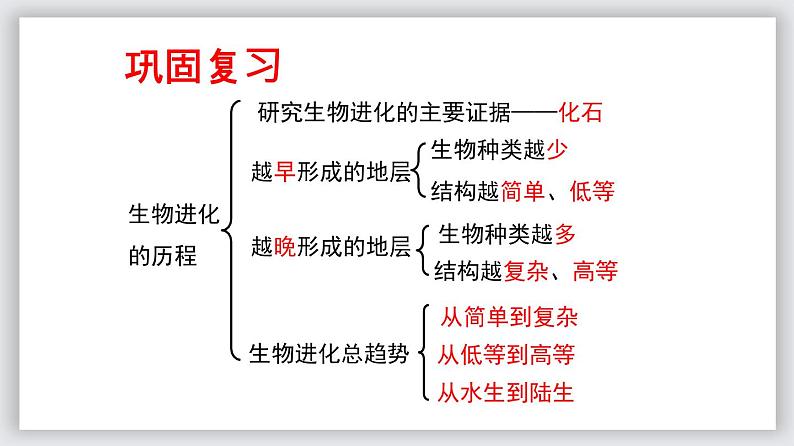 23.3 生物进化的原因（课件）-2020-2021学年八年级下册生物同步精品课堂（苏科版）（共41张PPT）02