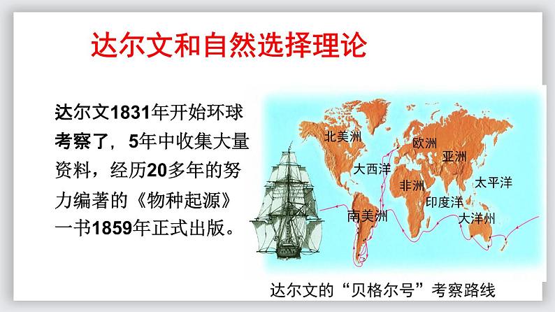 23.3 生物进化的原因（课件）-2020-2021学年八年级下册生物同步精品课堂（苏科版）（共41张PPT）07