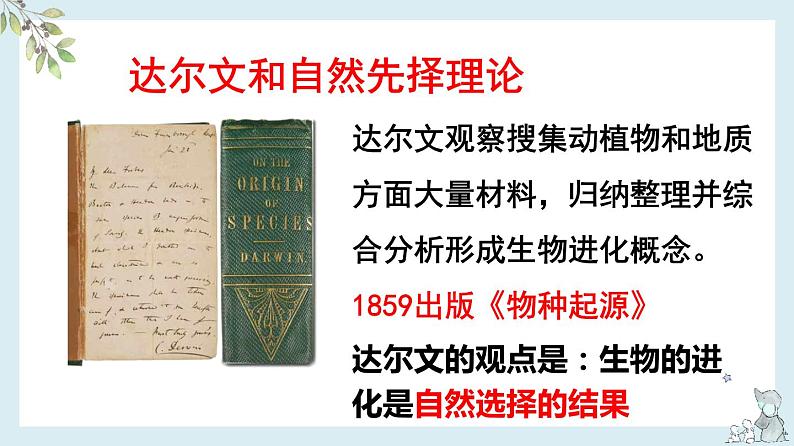 23.3 生物进化的原因（课件）-2020-2021学年八年级下册生物同步精品课堂（苏科版）（共41张PPT）08