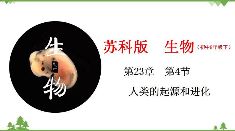 23.4 人类的起源和进化（课件）-2020-2021学年八年级下册生物同步精品课堂（苏科版）（共43张PPT）01