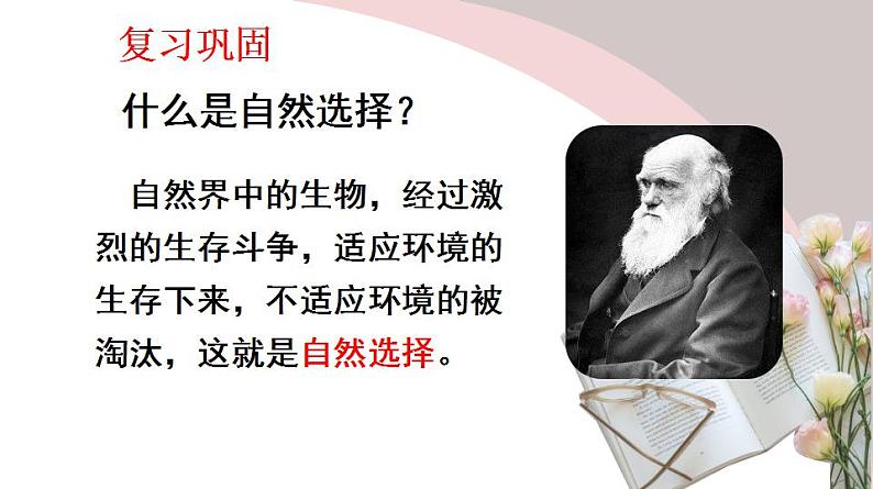 23.4 人类的起源和进化（课件）-2020-2021学年八年级下册生物同步精品课堂（苏科版）（共43张PPT）02