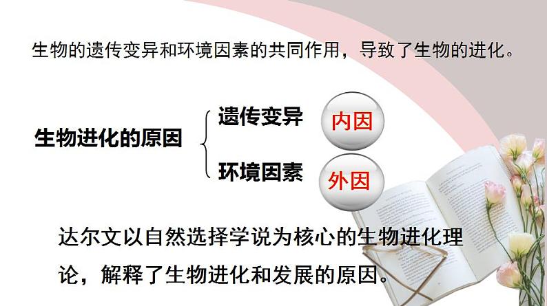 23.4 人类的起源和进化（课件）-2020-2021学年八年级下册生物同步精品课堂（苏科版）（共43张PPT）04