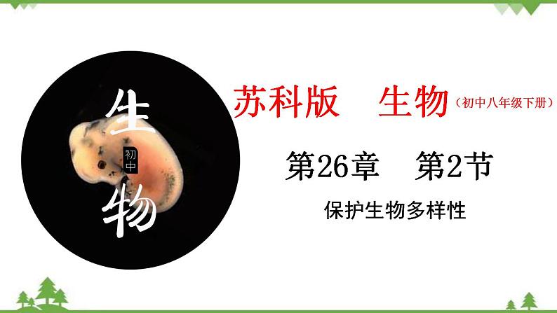 26.2 保护生物多样性（课件）-2020-2021学年八年级下册生物同步精品课堂（苏科版） (共45张PPT)01