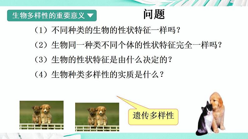 26.2 保护生物多样性（课件）-2020-2021学年八年级下册生物同步精品课堂（苏科版） (共45张PPT)06