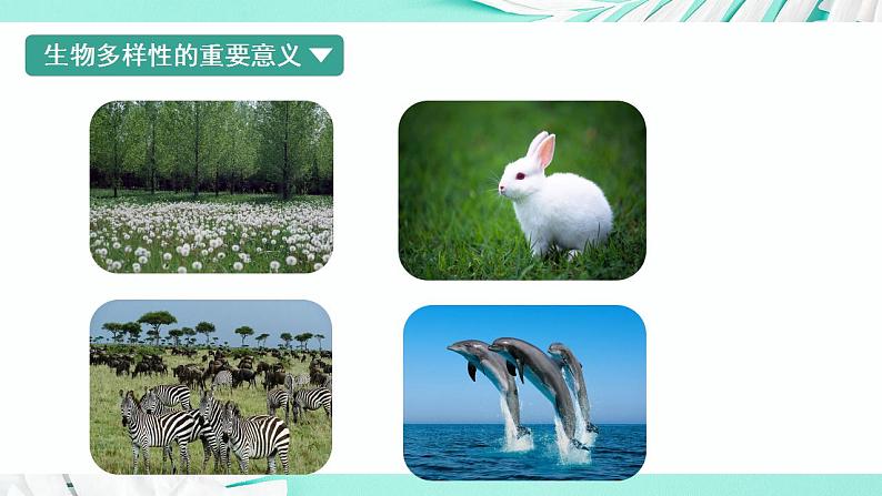 26.2 保护生物多样性（课件）-2020-2021学年八年级下册生物同步精品课堂（苏科版） (共45张PPT)07