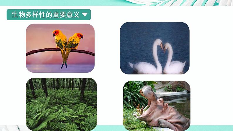 26.2 保护生物多样性（课件）-2020-2021学年八年级下册生物同步精品课堂（苏科版） (共45张PPT)08